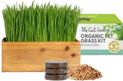 The Cat Ladies Cat Grass Kit & Decorative Wood Planter, Natural