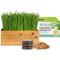 Show in main carousel: The Cat Ladies Cat Grass Kit & Decorative Wood Planter, Natural slide 1 of 11