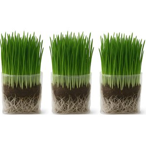 The Cat Ladies Organic Pet Grass Grow Kit, 3 count