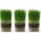 Show in main carousel: The Cat Ladies Organic Pet Grass Grow Kit, 3 count slide 1 of 10