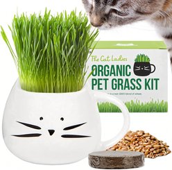 The Cat Ladies Organic Pet Grass Grow Kit with Planter, White slide 1 of 7