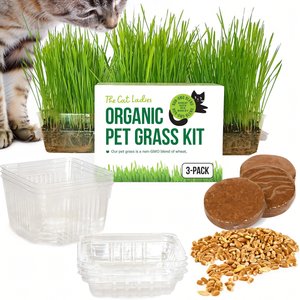The Cat Ladies Organic Pet Grass Growing Kit with Containers, 3 count