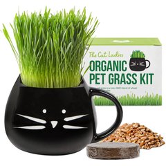 The Cat Ladies Organic Pet Grass Grow Kit with Planter, Black