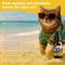 Show in main carousel: PawTides Chillax Calming Supplement Spray for Dogs & Cats, 2-fl oz bottle slide 4 of 4