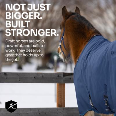 Show full view: Kensington Protective Products Signature Heavy Weight Draft Horse Turnout Blanket, 87-in, Black slide 9 of 9
