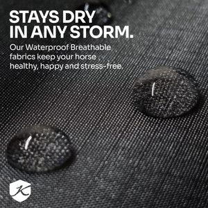 Kensington Protective Products Signature Medium Weight Horse Turnout Blanket, 84-in, Harbor