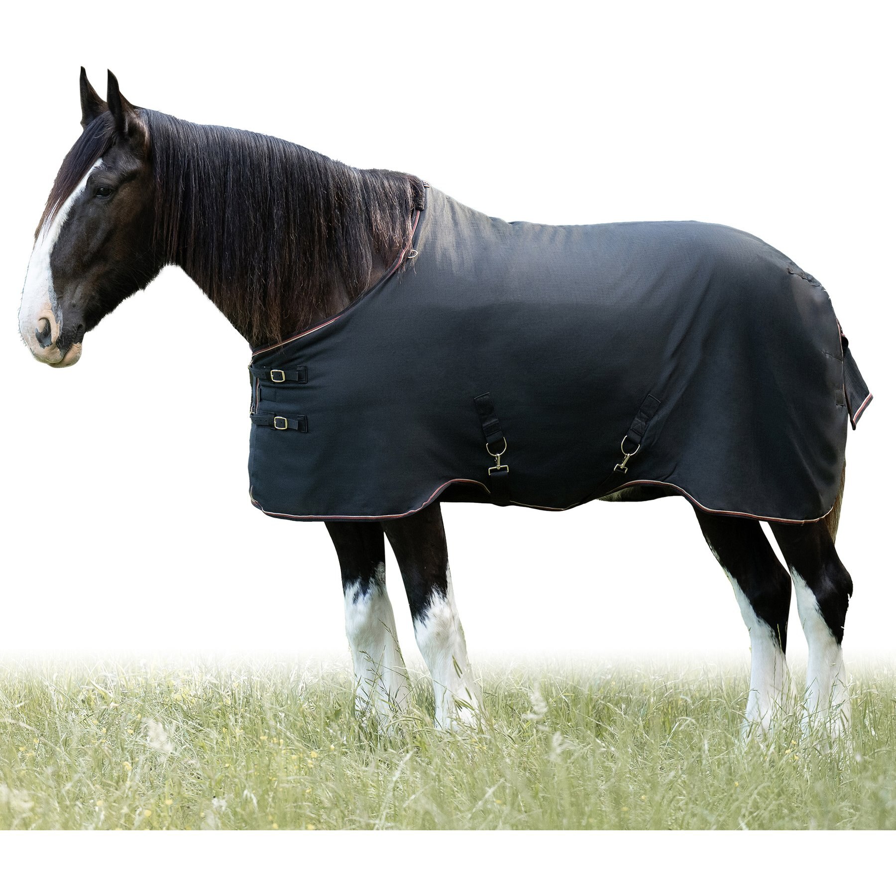 Kensington Protective Products Signature Light Weight Horse Turnout Blanket, 96-in, Black