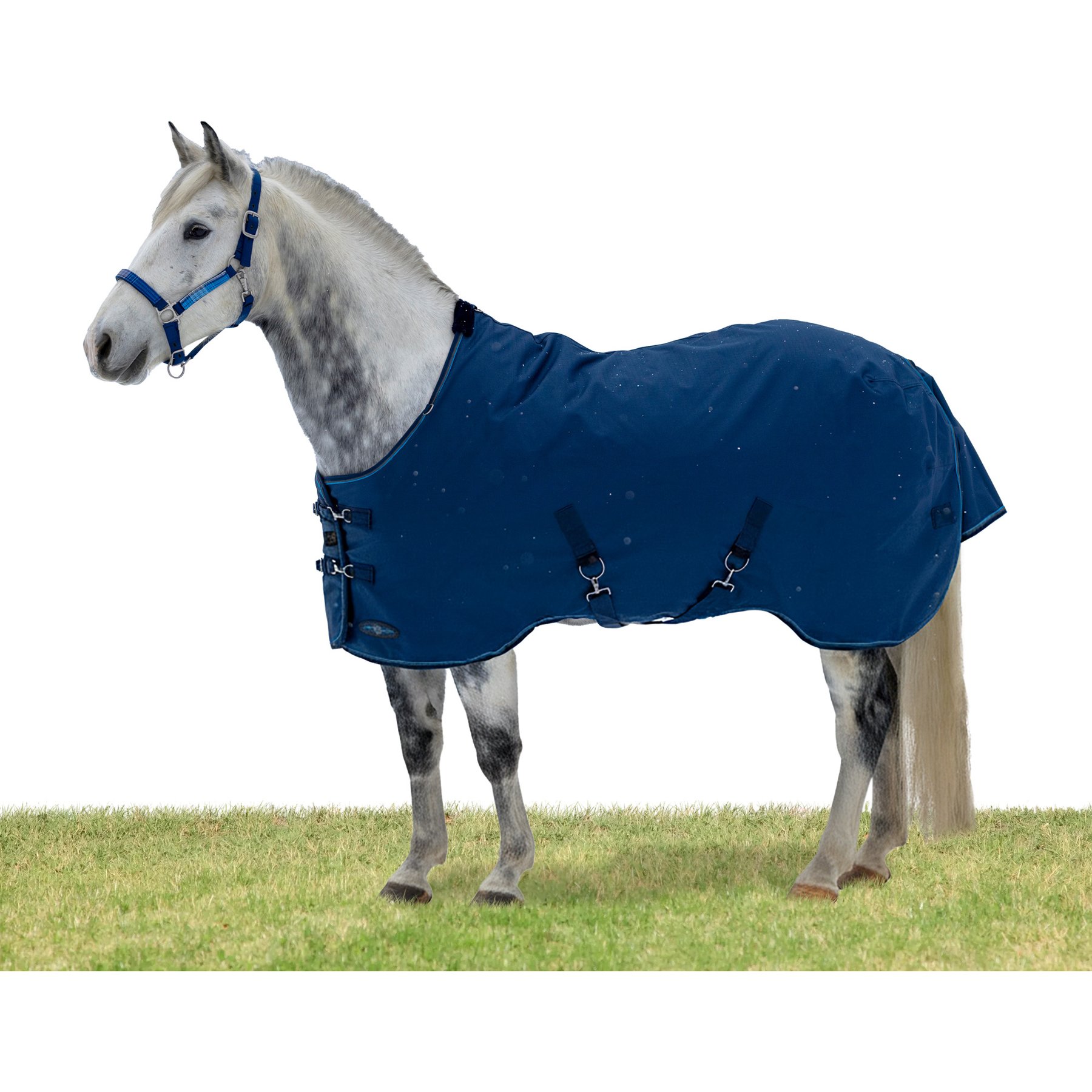 Kensington Protective Products Signature Light Weight Horse Turnout Blanket, 75-in, Navy