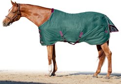 Kensington Protective Products Signature Light Weight Horse Turnout Blanket, 84-in, Hunter