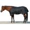 Show in main carousel: Kensington Protective Products Signature Light Weight Horse Turnout Blanket, 75-in, Black slide 1 of 10