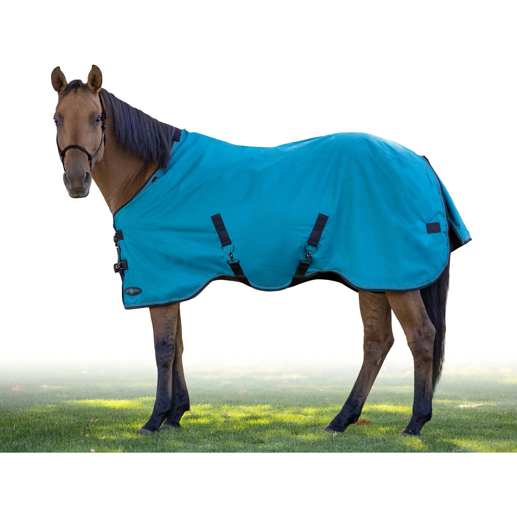 Kensington Protective Products Signature Light Weight Horse Turnout Blanket, 81-in, Harbor