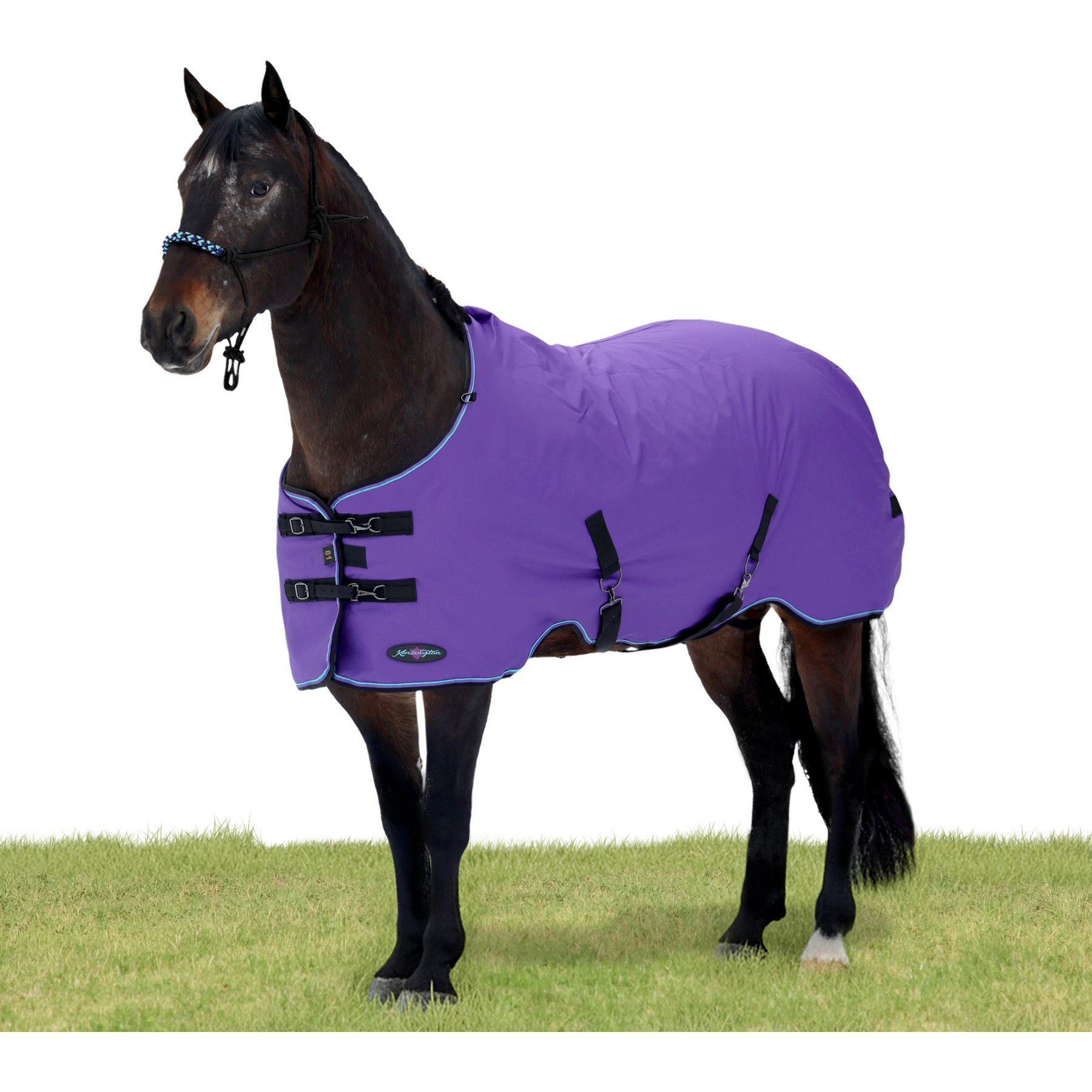 Kensington Protective Products Signature Light Weight Horse Turnout Blanket, 66-in, Purple