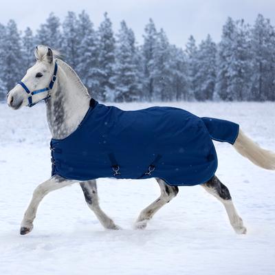 Show full view: Kensington Protective Products Signature Medium Weight Horse Turnout Blanket, 78-in, Navy slide 2 of 10