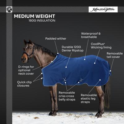 Show full view: Kensington Protective Products Signature Medium Weight Horse Turnout Blanket, 60-in, Deluxe Black slide 4 of 10