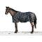 Show in main carousel: Kensington Protective Products Signature Medium Weight Horse Turnout Blanket, 60-in, Deluxe Black slide 1 of 10