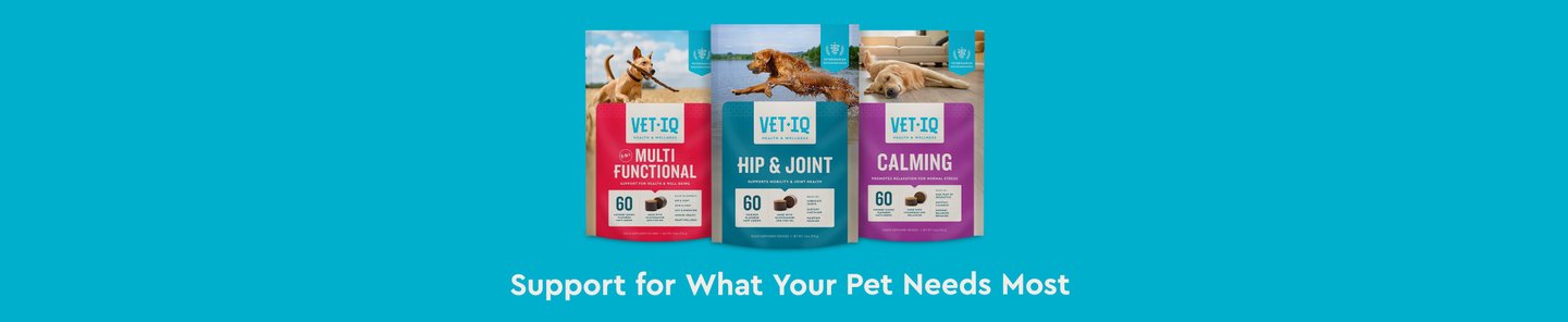 Support for What Your Pet Needs Most