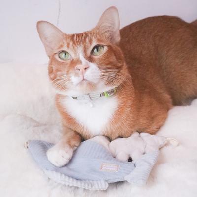 Show full view: Lambwolf Kitty Trout Plush Cat Toy slide 3 of 4