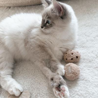 Show full view: Lambwolf Kitty Tea Time Plush Cat Toy slide 4 of 4