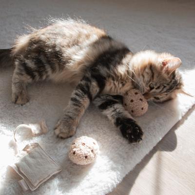 Show full view: Lambwolf Kitty Tea Time Plush Cat Toy slide 3 of 4