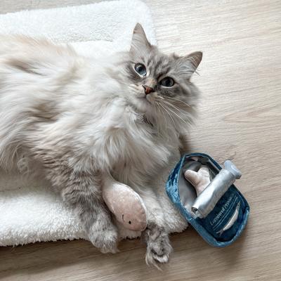 Show full view: Lambwolf Kitty Sardines Plush Cat Toy slide 3 of 4