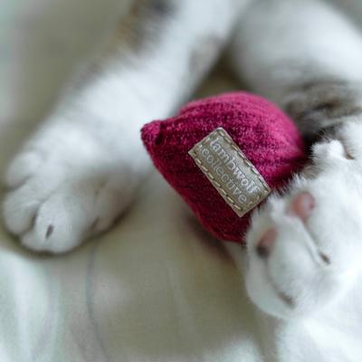 Show full view: Lambwolf Kitty Radish Plush Cat Toy, X-Small slide 3 of 4