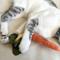 Show in main carousel: Lambwolf Kitty Baby Carrot Plush Cat Toy slide 3 of 4
