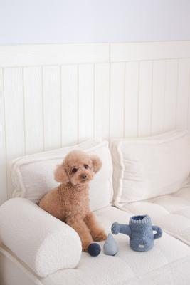 Show full view: Lambwolf Watering Can Plush Dog Toy slide 2 of 4