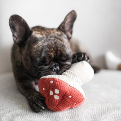 Show full view: Lambwolf Shroom Plush Dog Toy slide 3 of 4