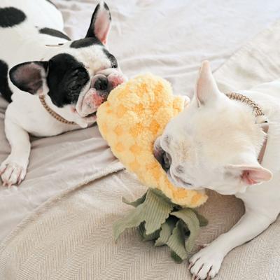 Show full view: Lambwolf Pineapple Pop Dog Ball Toy slide 3 of 4