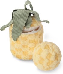 Lambwolf Pineapple Pop Dog Ball Toy