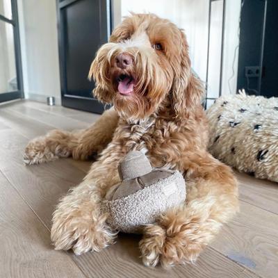 Show full view: Lambwolf Guu Plush Dog Toy, Oat, Medium: 6-in slide 4 of 4