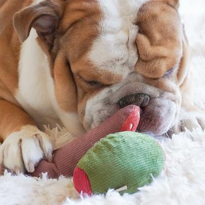 Show full view: Lambwolf Olive + Salami Plush Dog Toy slide 4 of 4