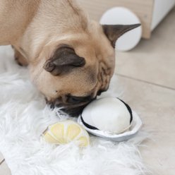 Lambwolf Gillardeau Plush Dog Toy slide 2 of 4