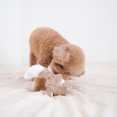 Show full view: Lambwolf Fox Pop Dog Ball Toy slide 3 of 4