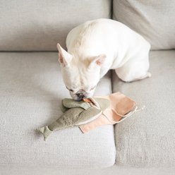 Lambwolf Flying Fish Plush Dog Toy slide 2 of 4