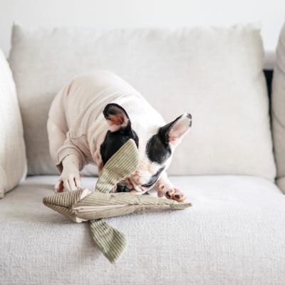 Show full view: Lambwolf Flying Fish Plush Dog Toy slide 3 of 4