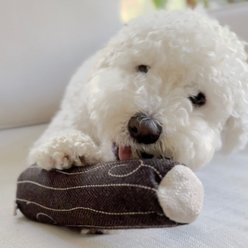 Lambwolf Fire Log Plush Dog Toy slide 2 of 4