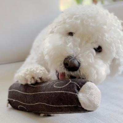 Show full view: Lambwolf Fire Log Plush Dog Toy slide 4 of 4