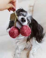 Lambwolf Cherry Pop Dog Ball Toy slide 2 of 4