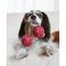 Show in main carousel: Lambwolf Cherry Pop Dog Ball Toy slide 2 of 4