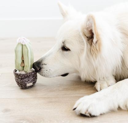 Show full view: Lambwolf Cactus Plush Dog Toy slide 3 of 4