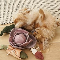 Lambwolf Cabbage Pop Dog Ball Toy, Mauve slide 2 of 4