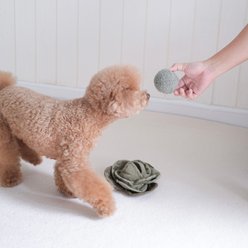 Lambwolf Cabbage Pop Dog Ball Toy, Green slide 2 of 4