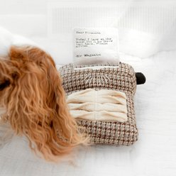 Lambwolf Typewriter Plush Dog Toy slide 2 of 4