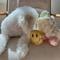 Show in main carousel: Lambwolf Roller Skate Plush Dog Toy slide 2 of 4