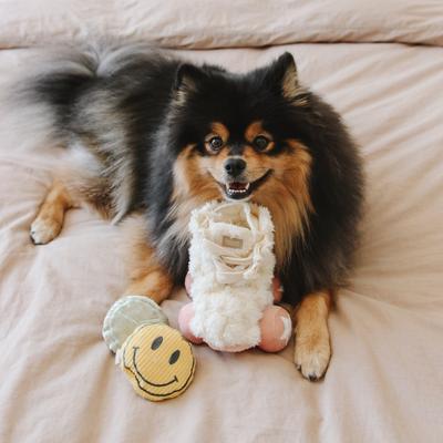 Show full view: Lambwolf Roller Skate Plush Dog Toy slide 4 of 4