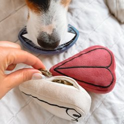 Lambwolf Picasso Plush Dog Toy slide 2 of 4