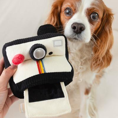 Show full view: Lambwolf Instant Camera Plush Dog Toy slide 4 of 4