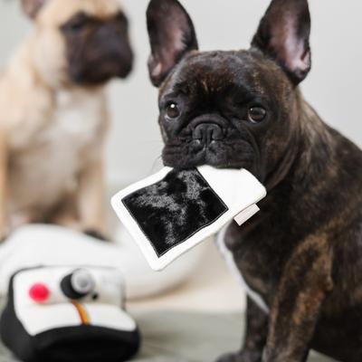 Show full view: Lambwolf Instant Camera Plush Dog Toy slide 3 of 4