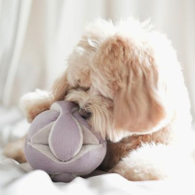 Show full view: Lambwolf Monti Plush Dog Toy, Purple, 5-in slide 4 of 4